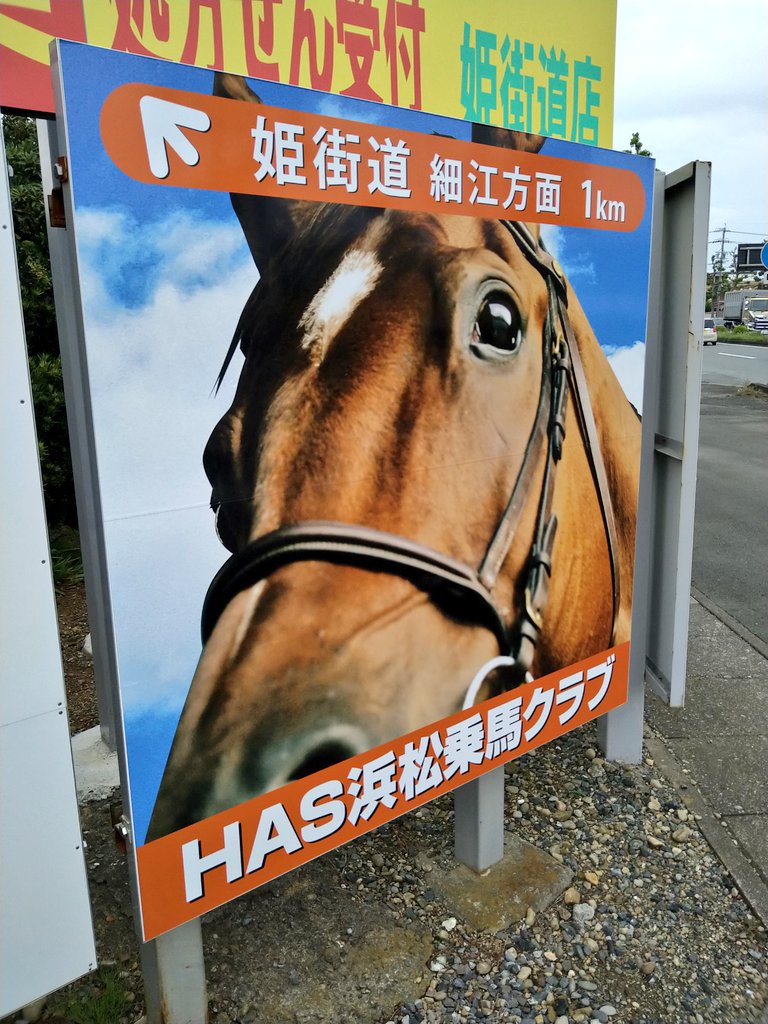 馬の写真2
